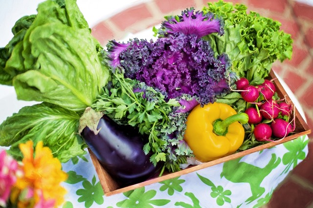 Faire un potager avec les enfants