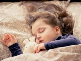 Jamais sans mon toutou Jeannot Lapin! Les objets de transition pour les tout-petits : à quoi servent-ils?